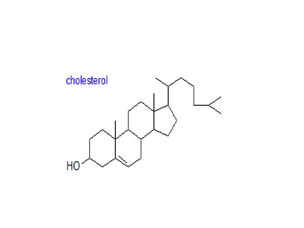 slide13