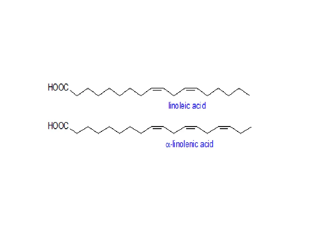 slide21