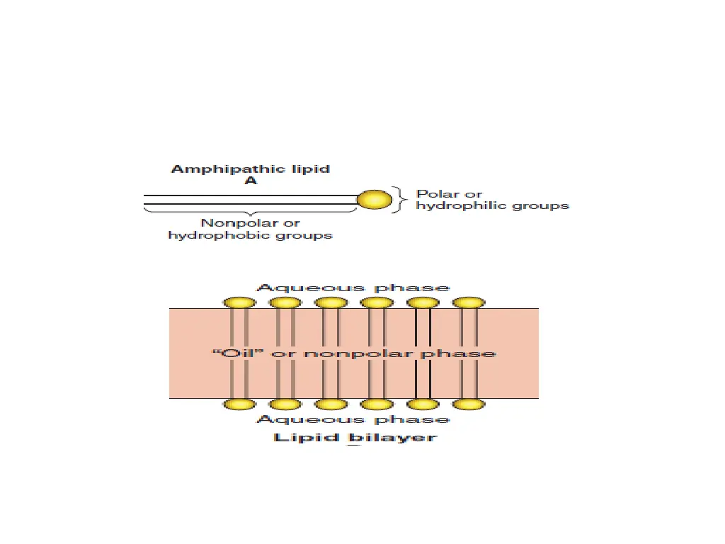 slide39