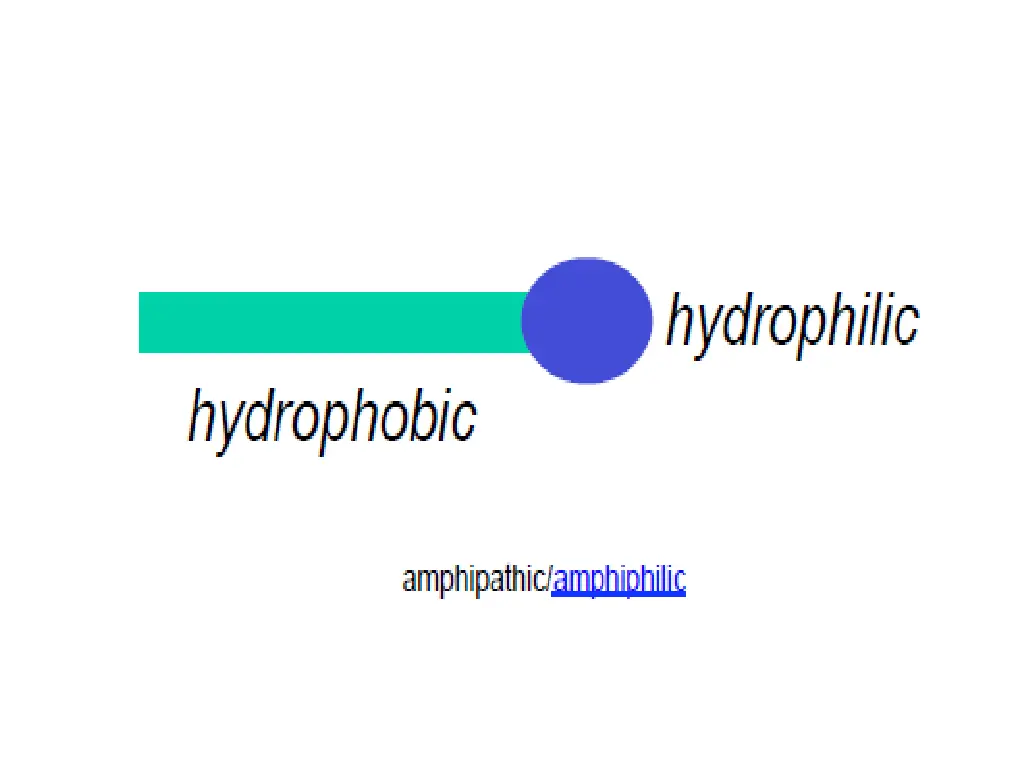 slide4