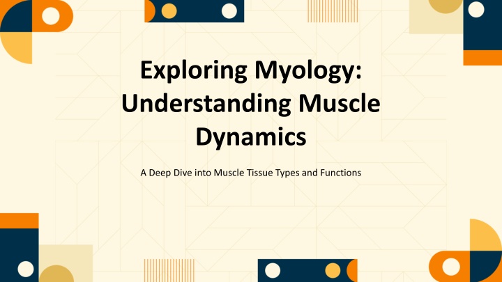 exploring myology understanding muscle dynamics