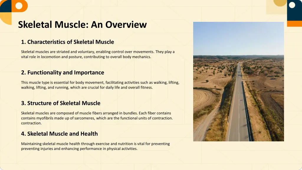 skeletal muscle an overview
