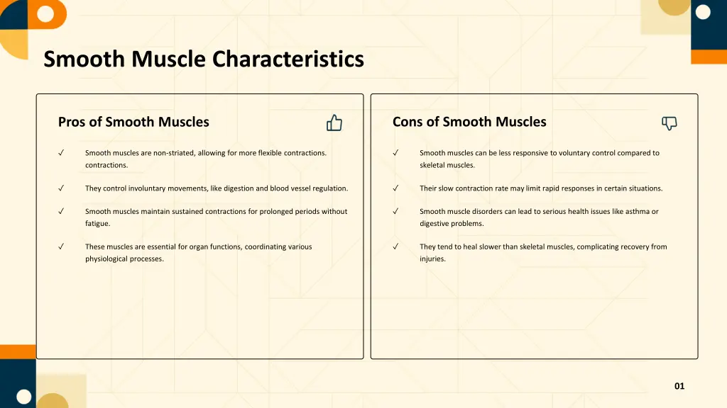 smooth muscle characteristics