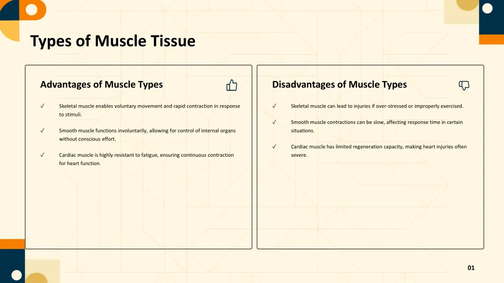 types of muscle tissue