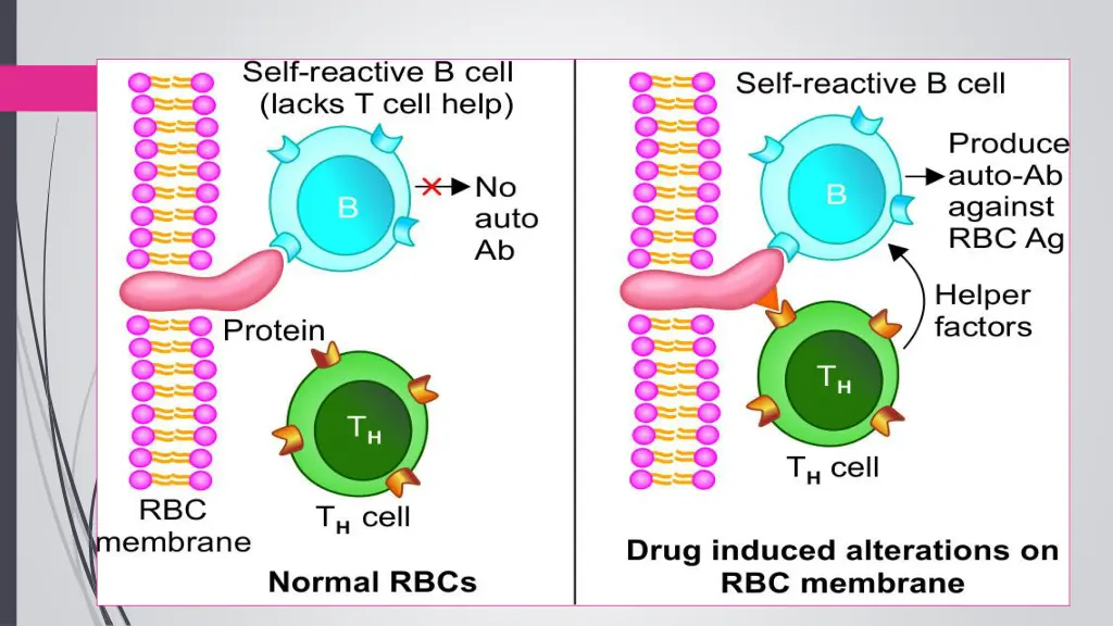 slide22
