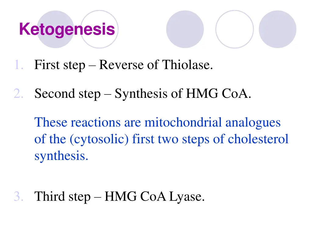ketogenesis