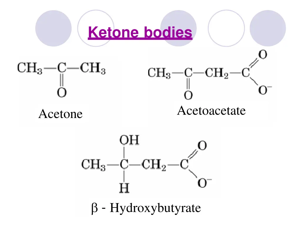 ketone bodies