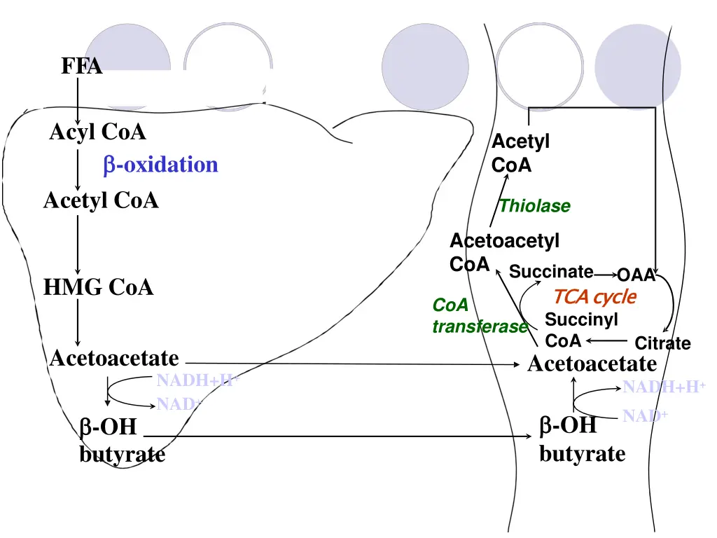 slide25