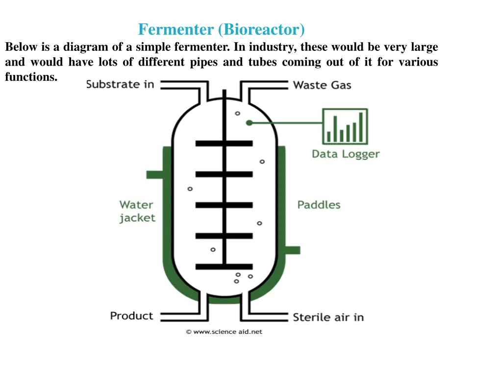 fermenter bioreactor