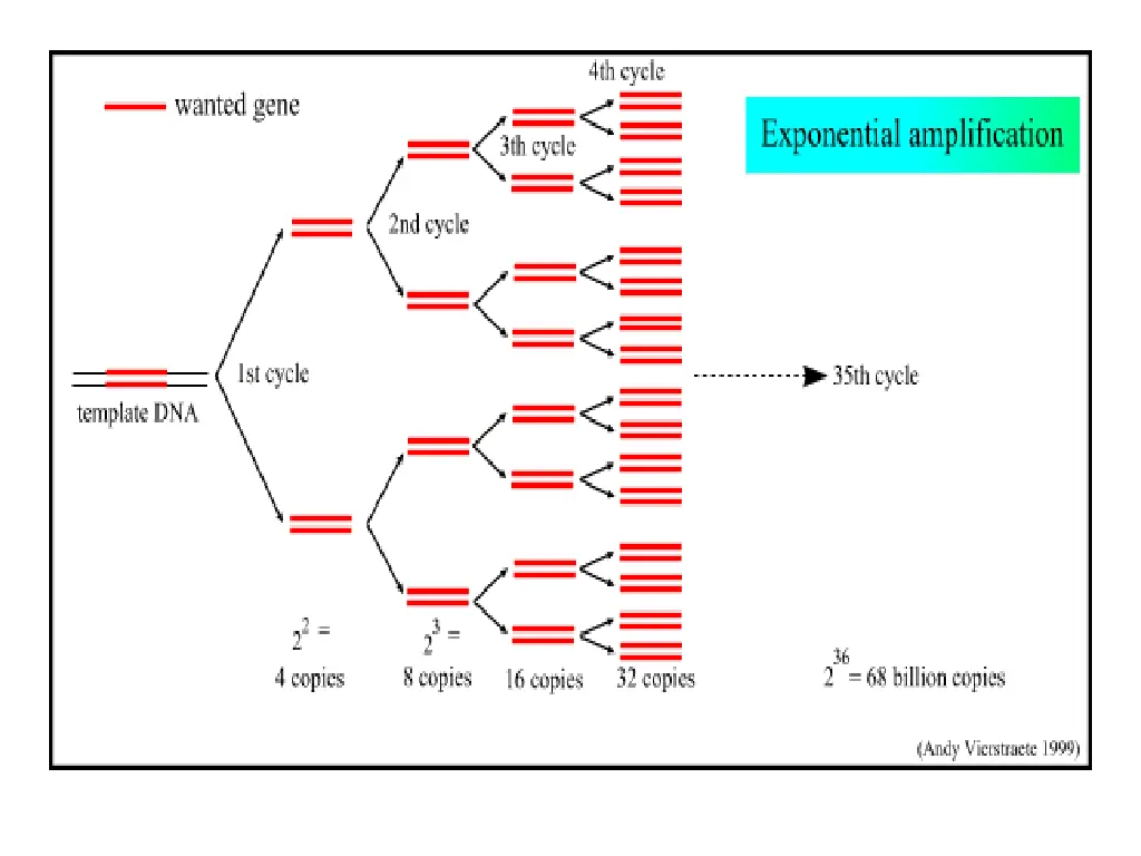 slide15