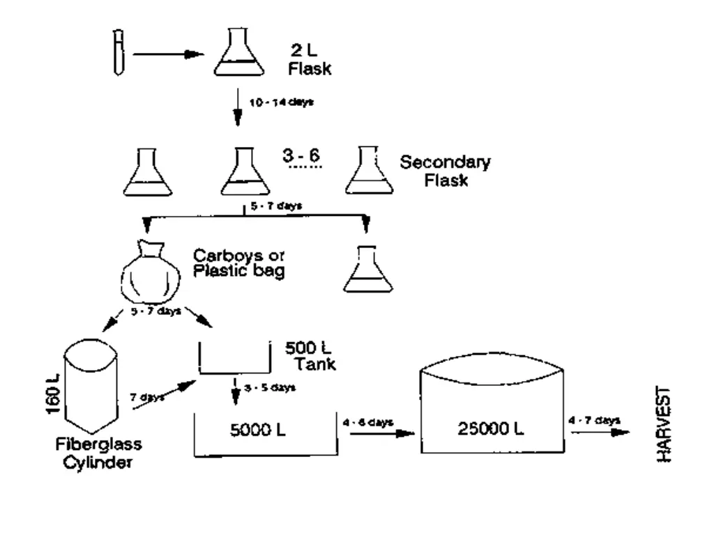 slide28