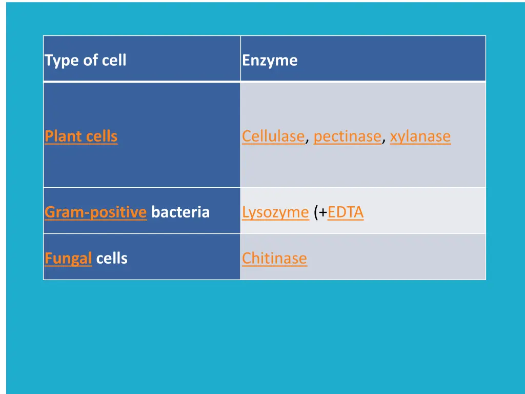type of cell