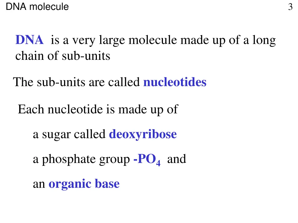 dna molecule