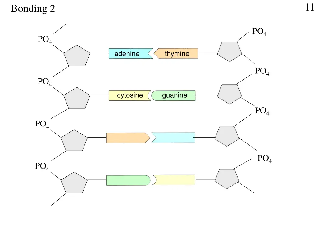 slide11