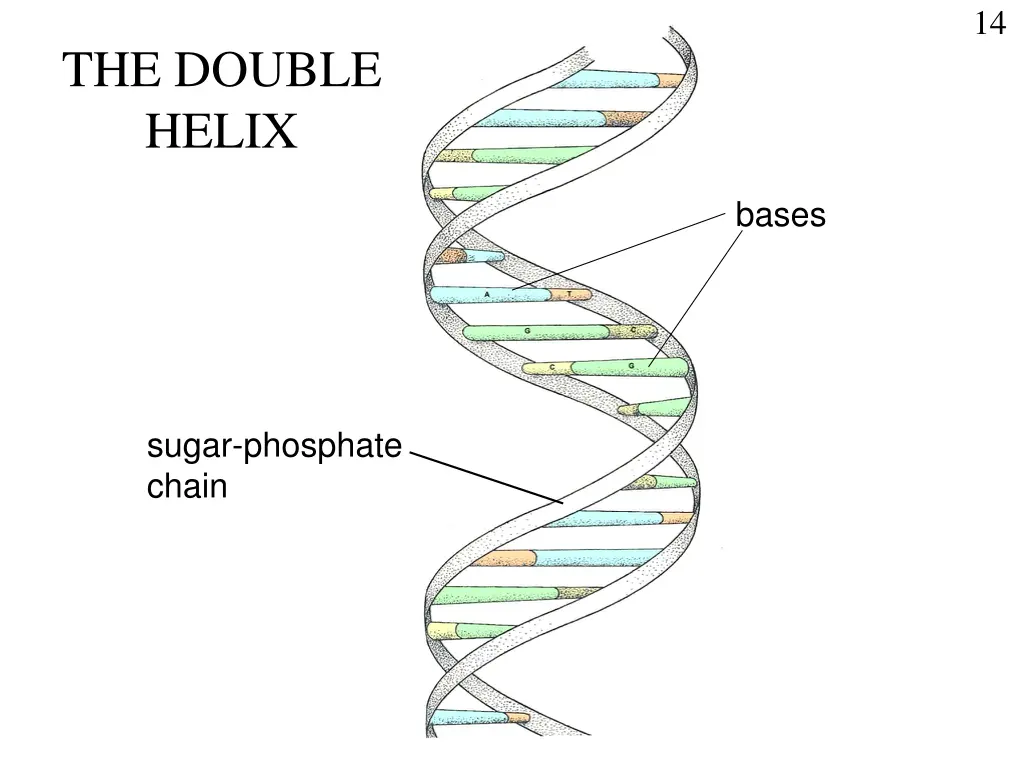 slide14