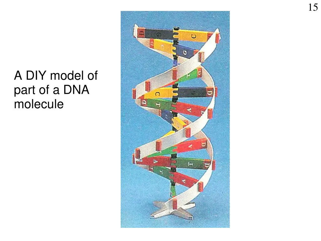 slide15