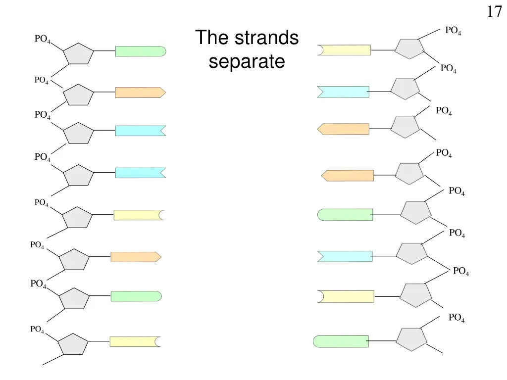 slide17