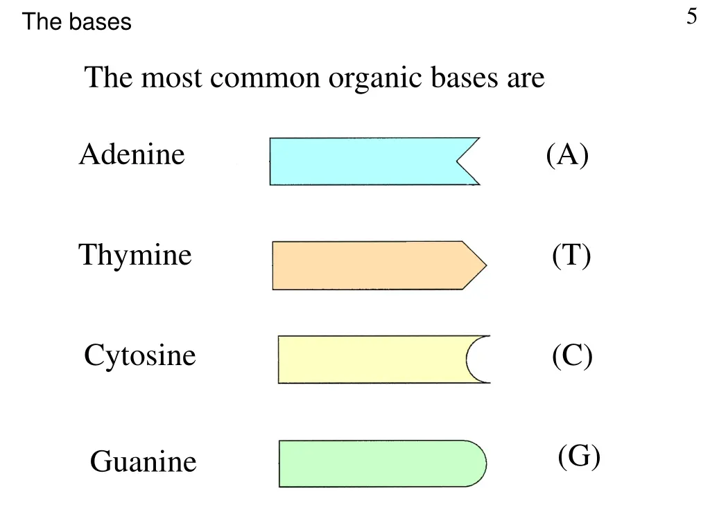 slide5