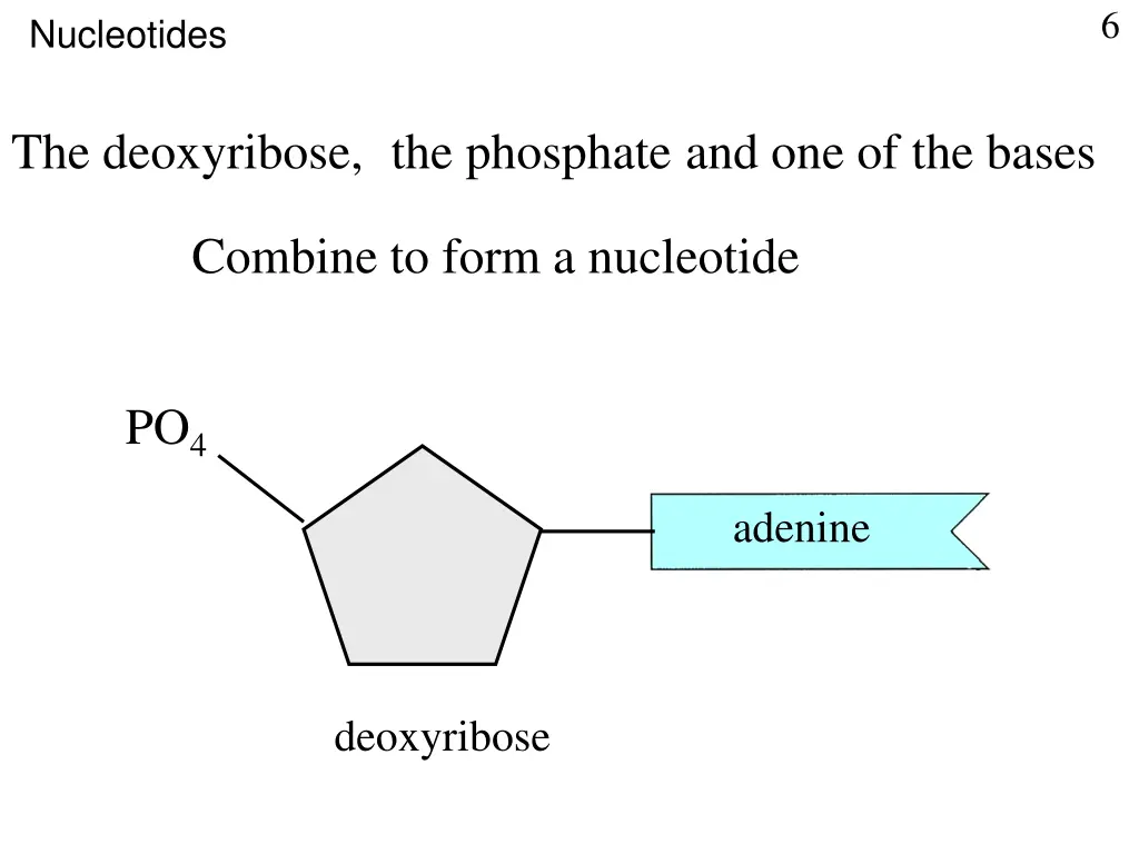 slide6