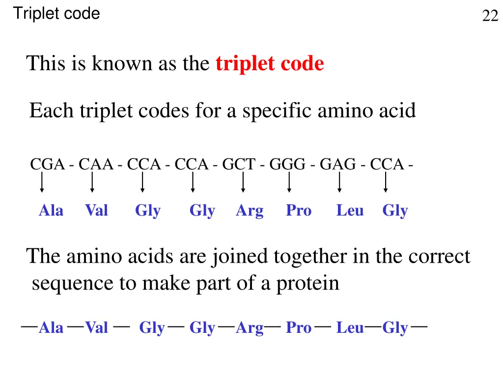 triplet code