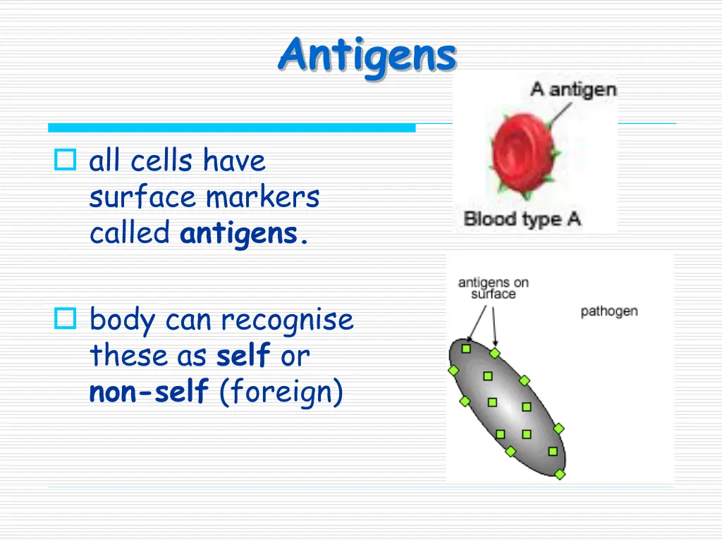 antigens