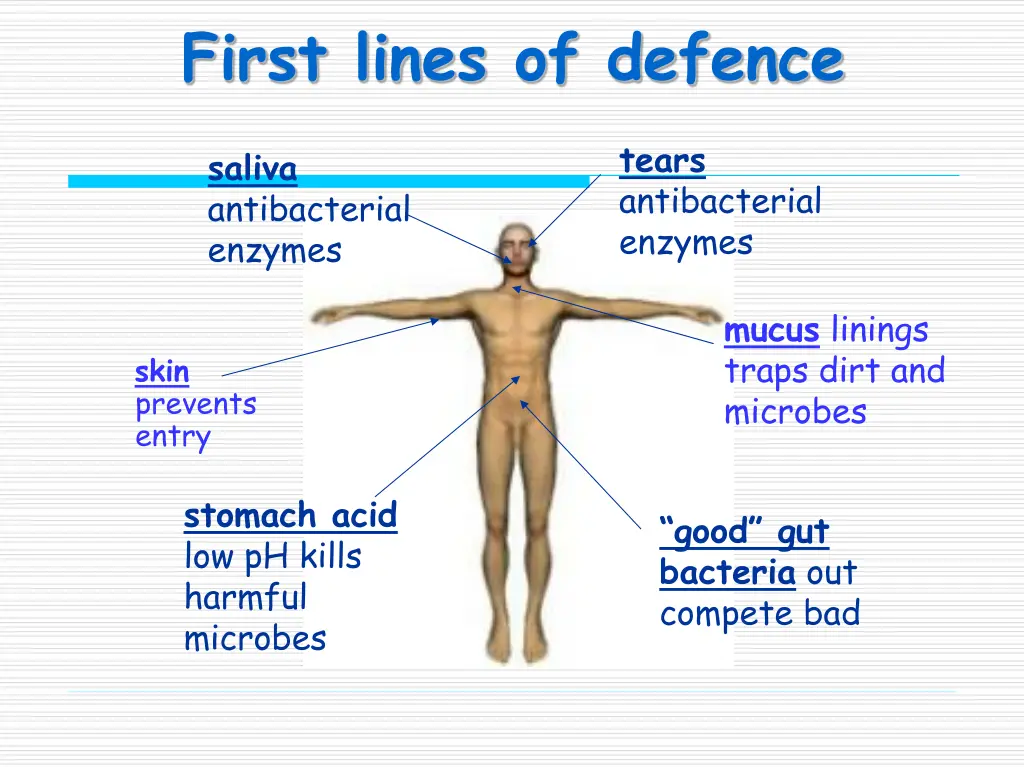 first lines of defence
