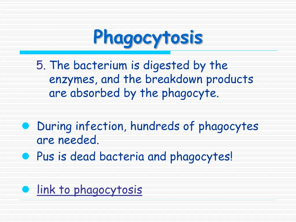 phagocytosis 1
