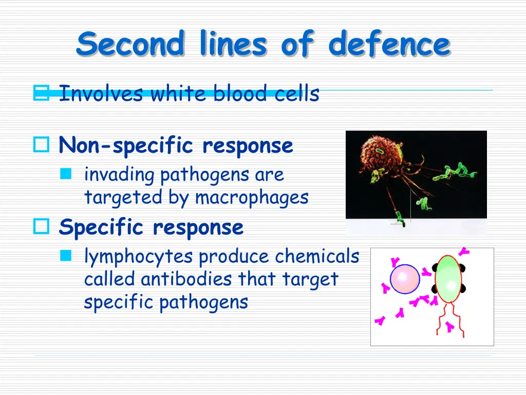 second lines of defence