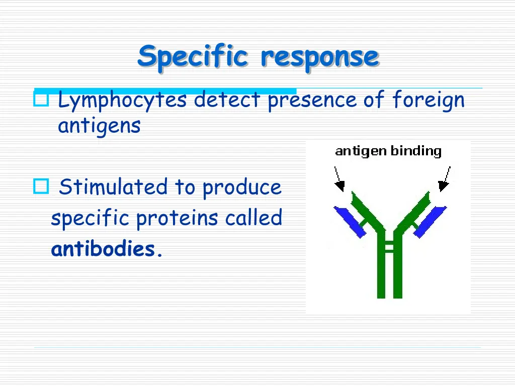 specific response lymphocytes detect presence