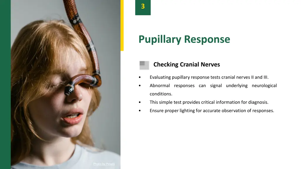 slide6