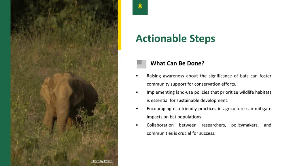 slide10