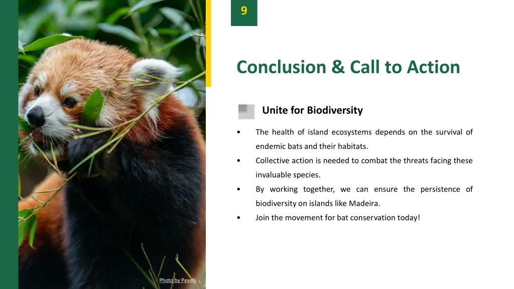 slide11