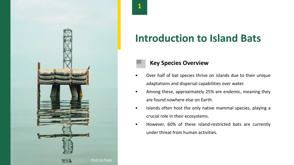 slide3