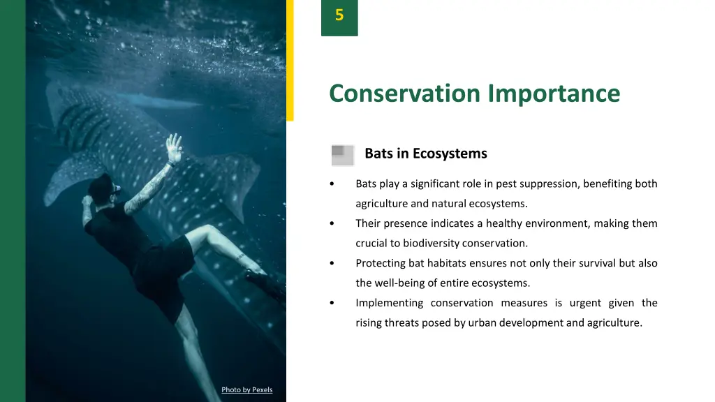slide7
