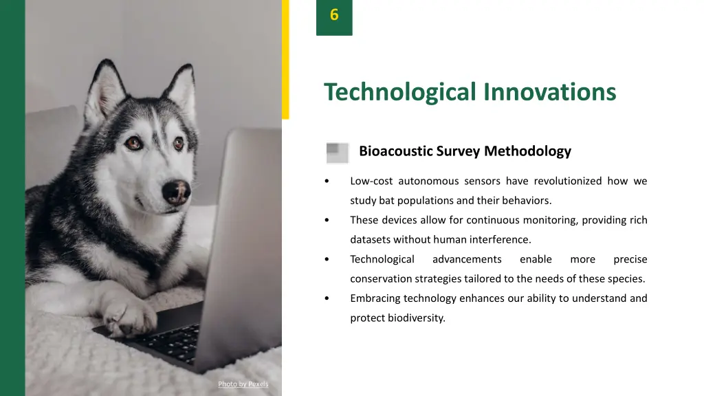 slide8
