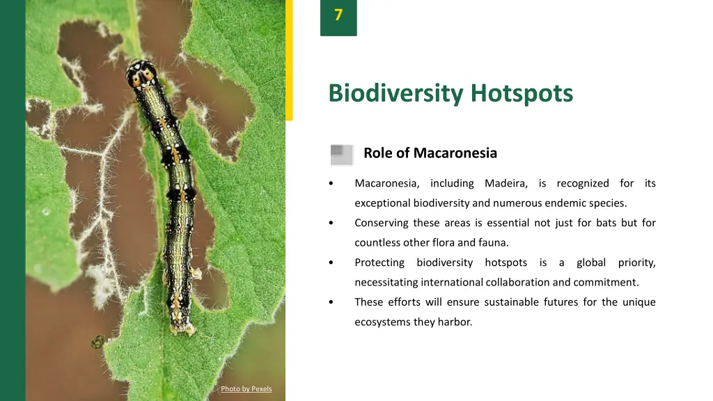 slide9