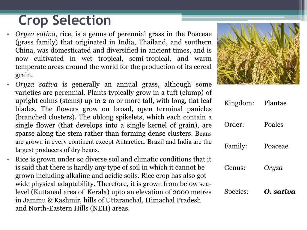 crop selection