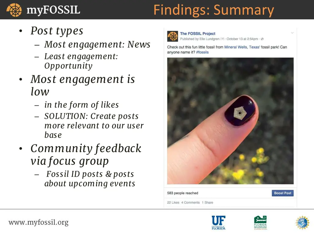 findings summary