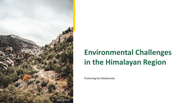environmental challenges in the himalayan region