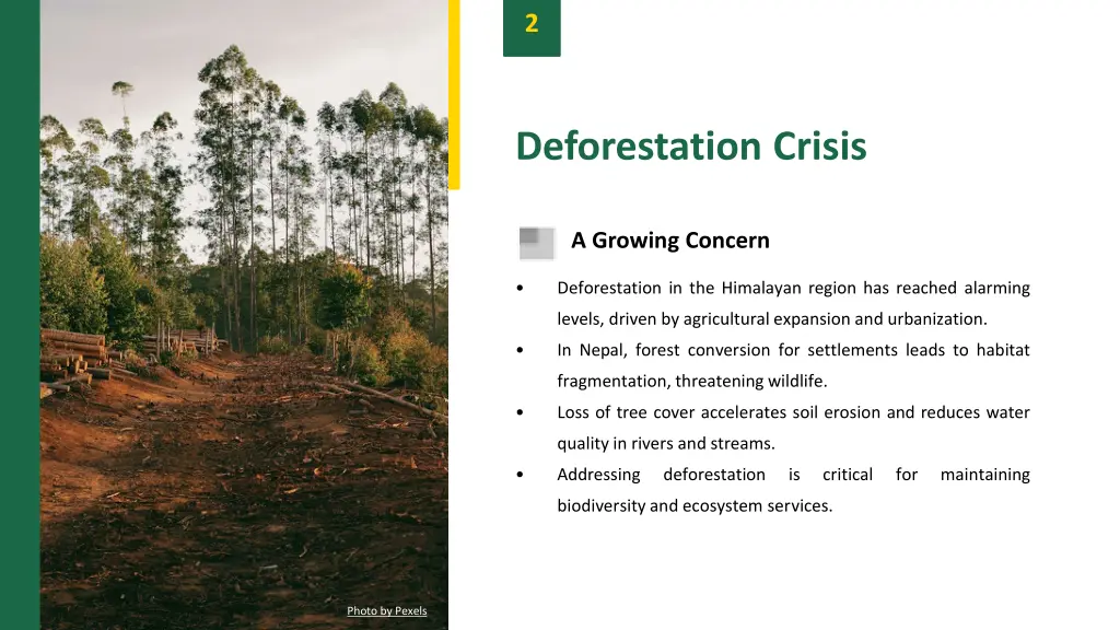 slide4