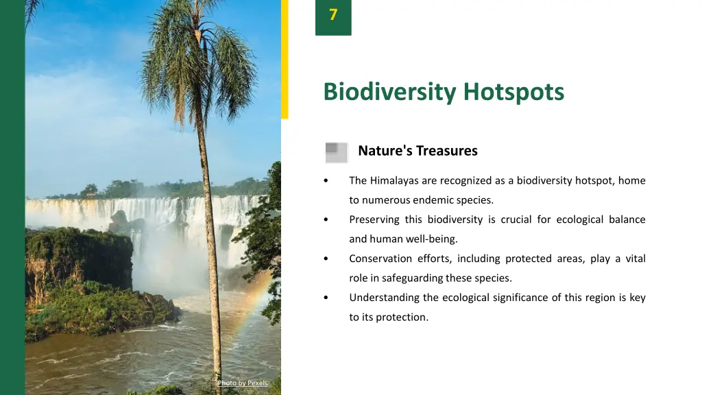 slide9