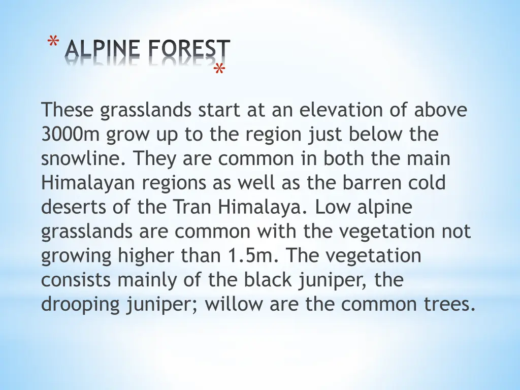 alpine forest