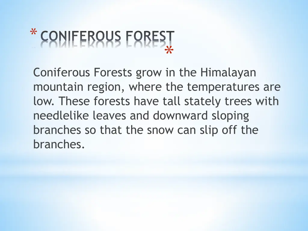 coniferous forest