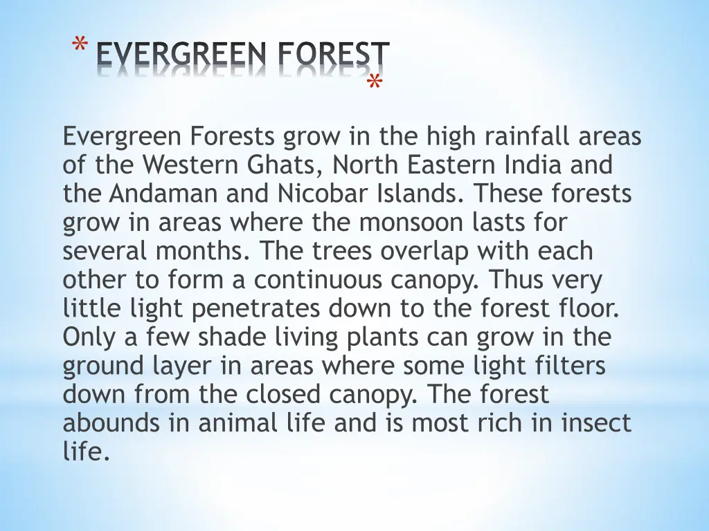 evergreen forest