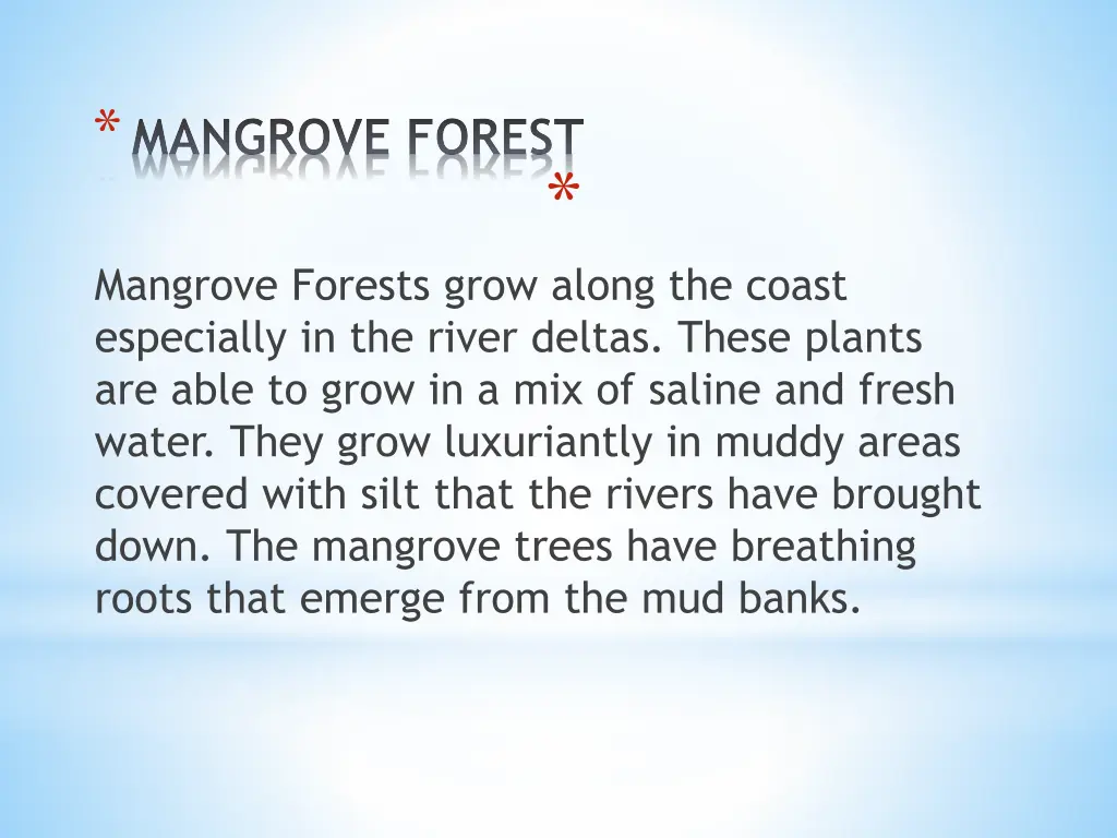 mangrove forest