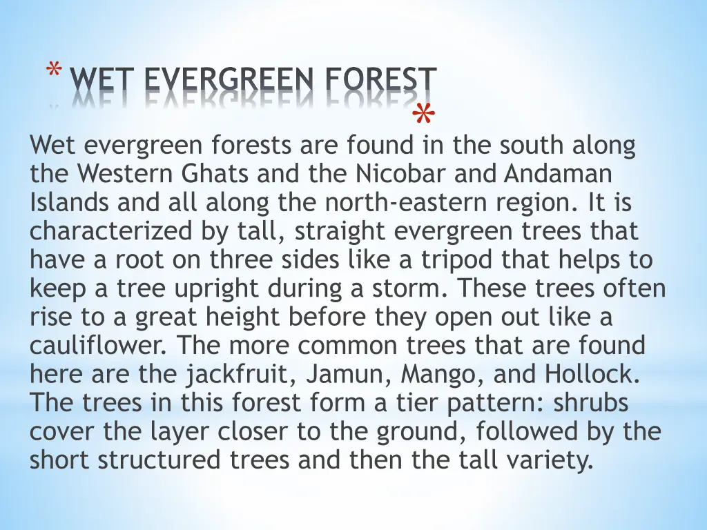 wet evergreen forest