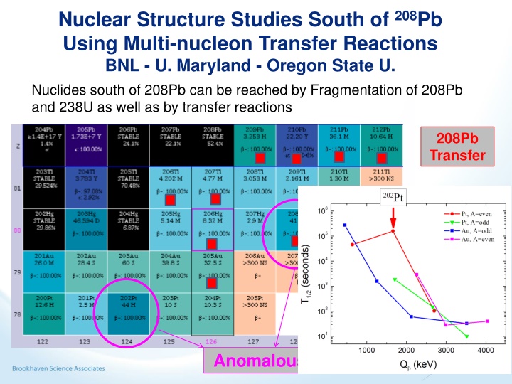 nuclear structure studies south of 208 pb using