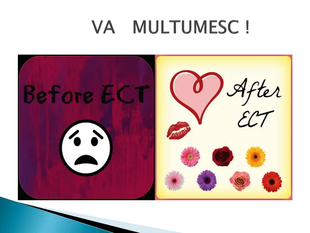 slide19