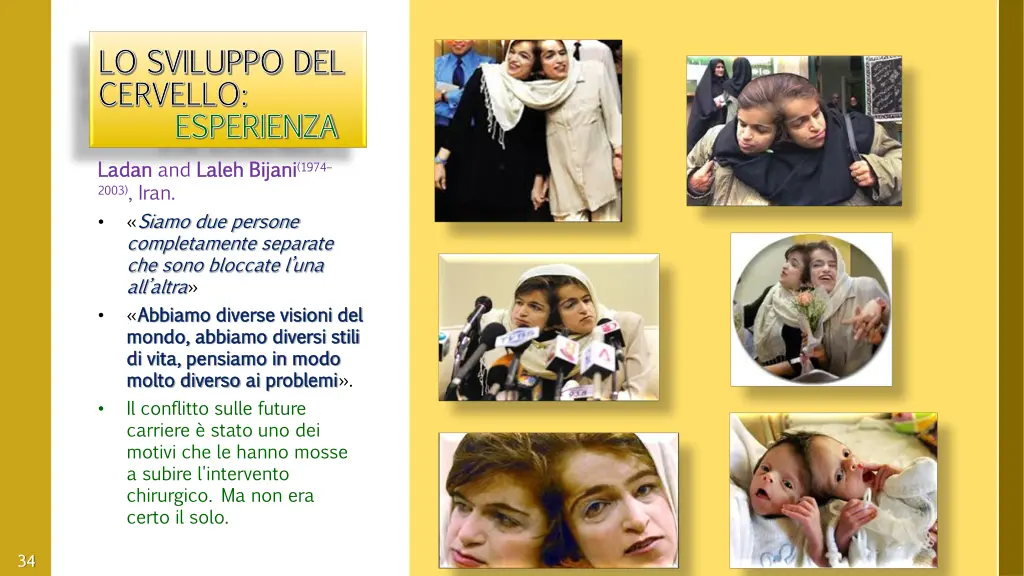 lo sviluppo del cervello esperienza