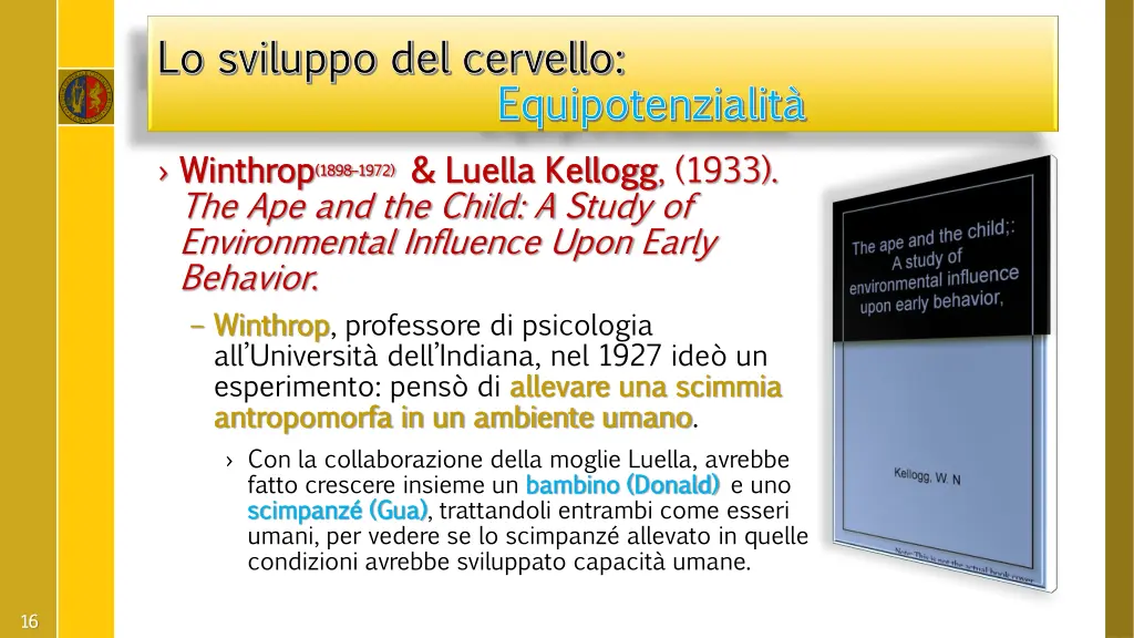 lo sviluppo del cervello lo sviluppo del cervello 1